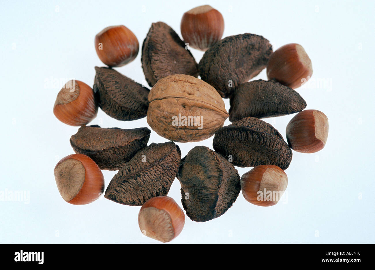 Brazil nuts walnuts hires stock photography and images Alamy