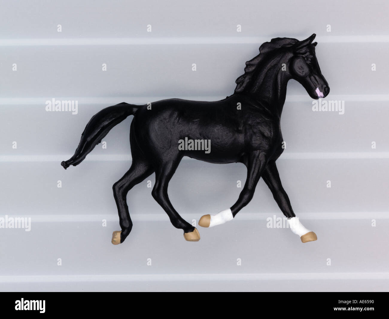 Black miniature horse hi-res stock photography and images - Alamy