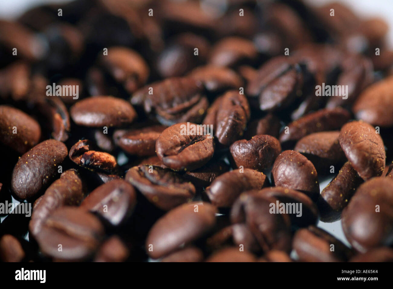 Coffee beans, roasted (Coffea arabica Stock Photo - Alamy