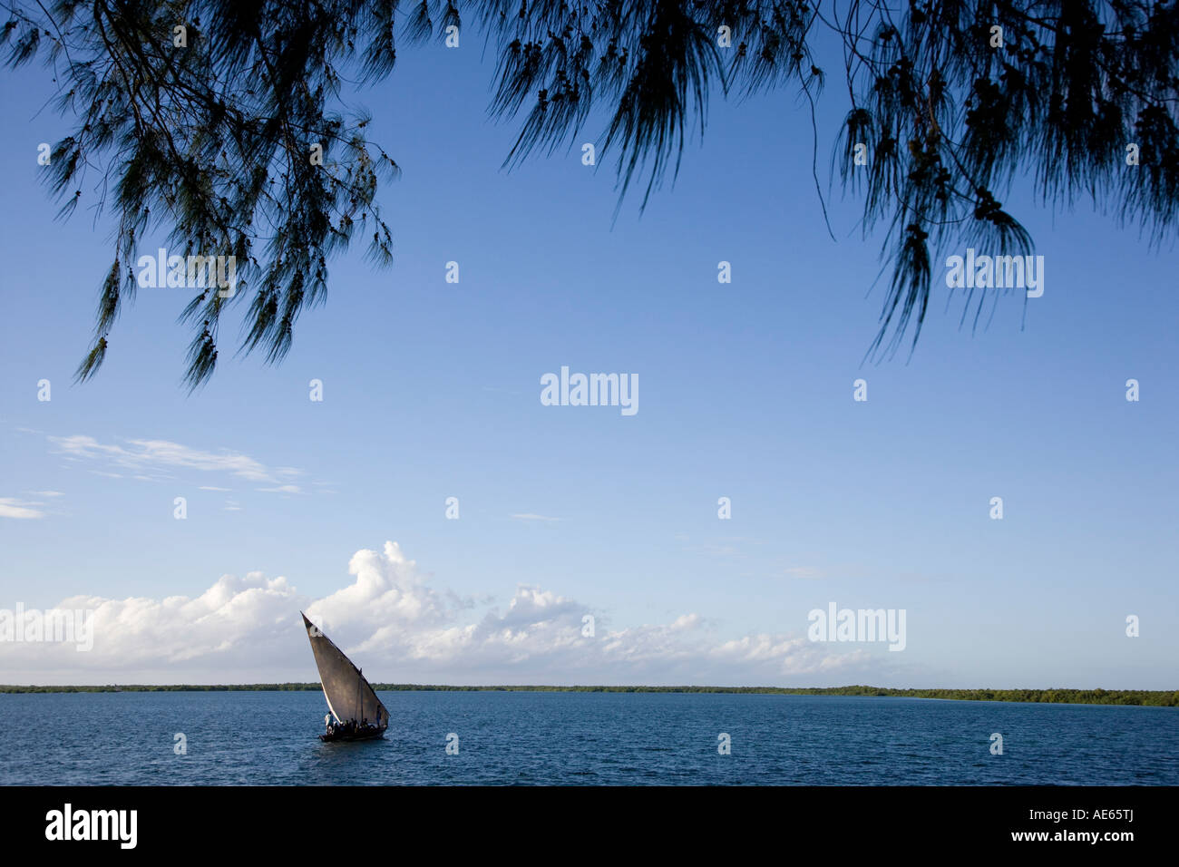 A dhow sails into Ibo Island part of the Quirimbas Archipelago Mozambique Stock Photo