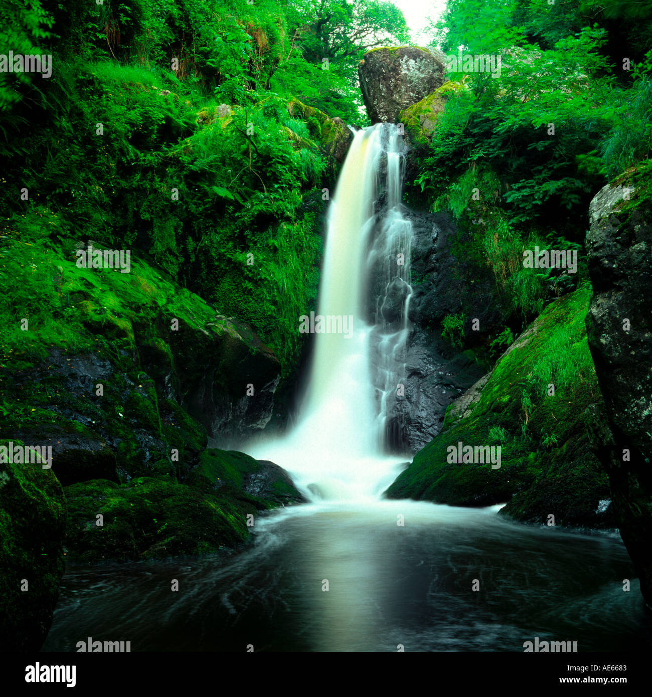 Waterfall Devils Glen Ashford Co Wicklow Ireland Stock Photo Alamy