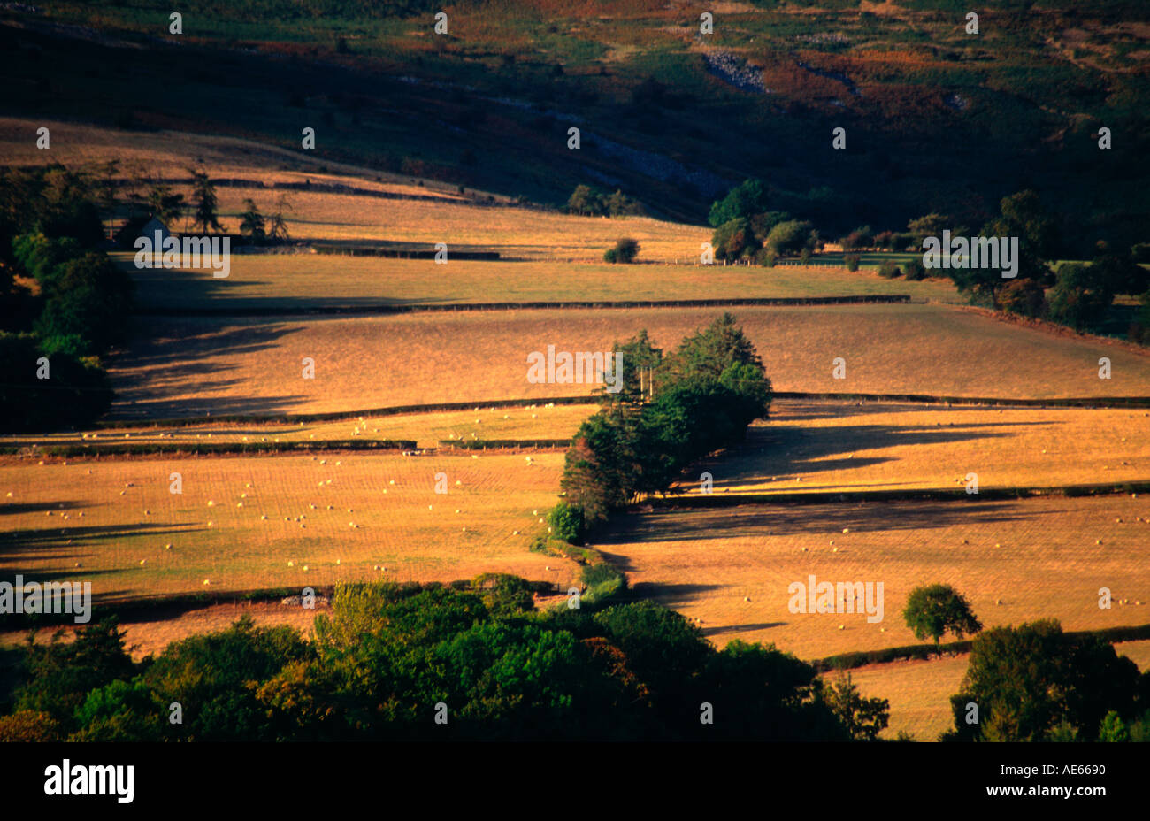 Usk valley trees hi-res stock photography and images - Alamy