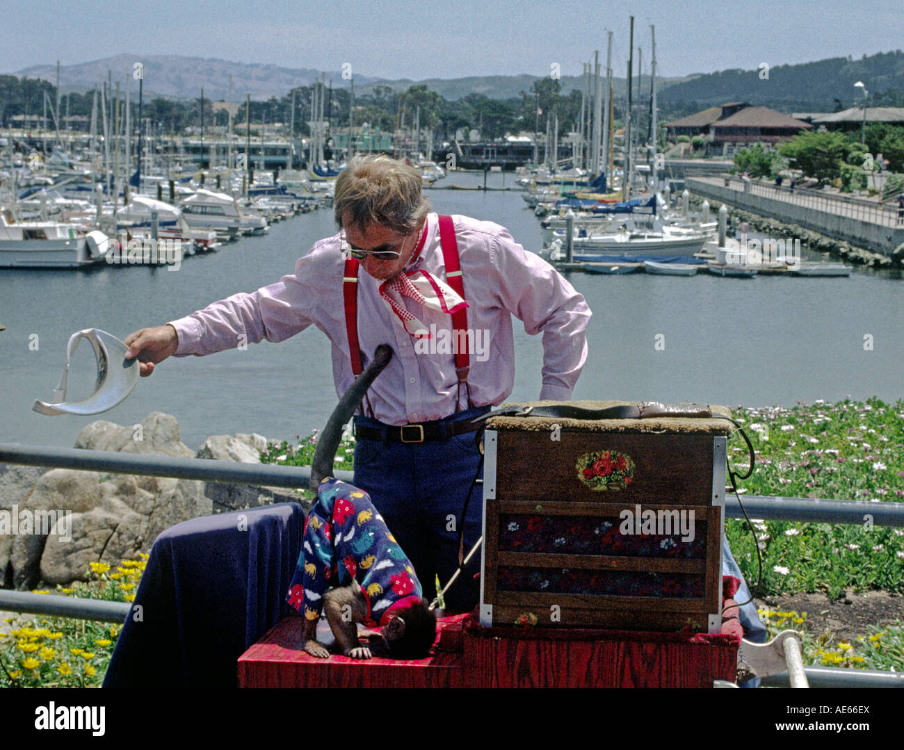 ORGAN GRINDER his MONKEY MONTEREY HARBOR CALIFORNIA Stock Photo Alamy