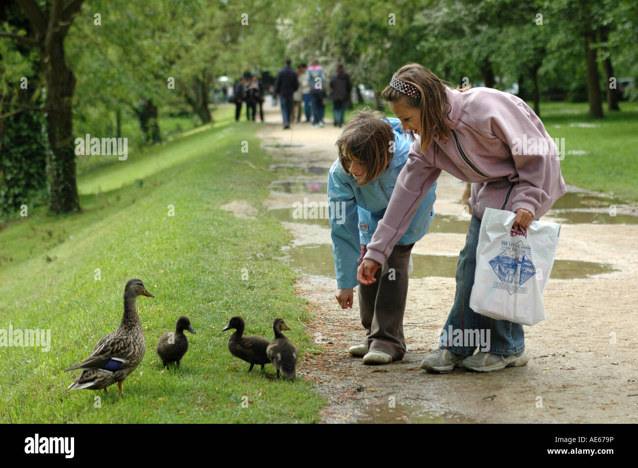 Two girls and four ducks on The Backs, Cambridge England Stock Photo