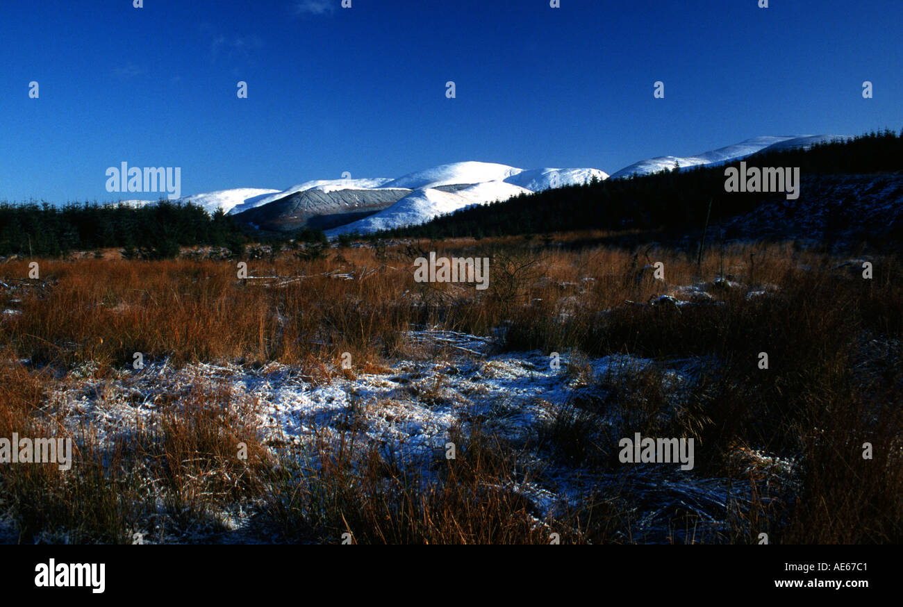 Landscape nr Moffat, Dumfries and Galloway, Scotland Stock Photo