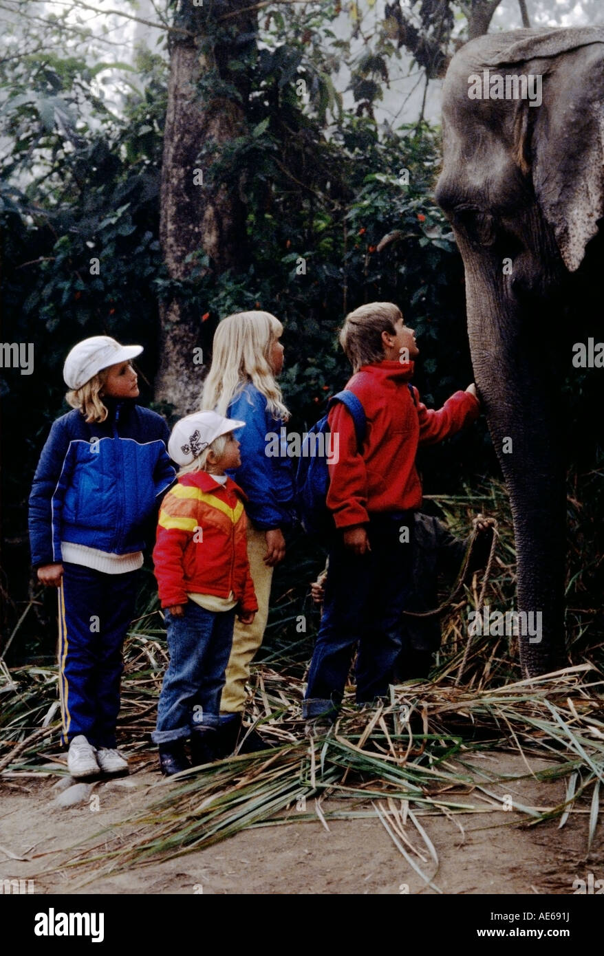 AMERICAN children visit with one of the trained elephants at TIGERTOPS LODGE in the CHITWAN NATIONAL PARK NEPAL Stock Photo