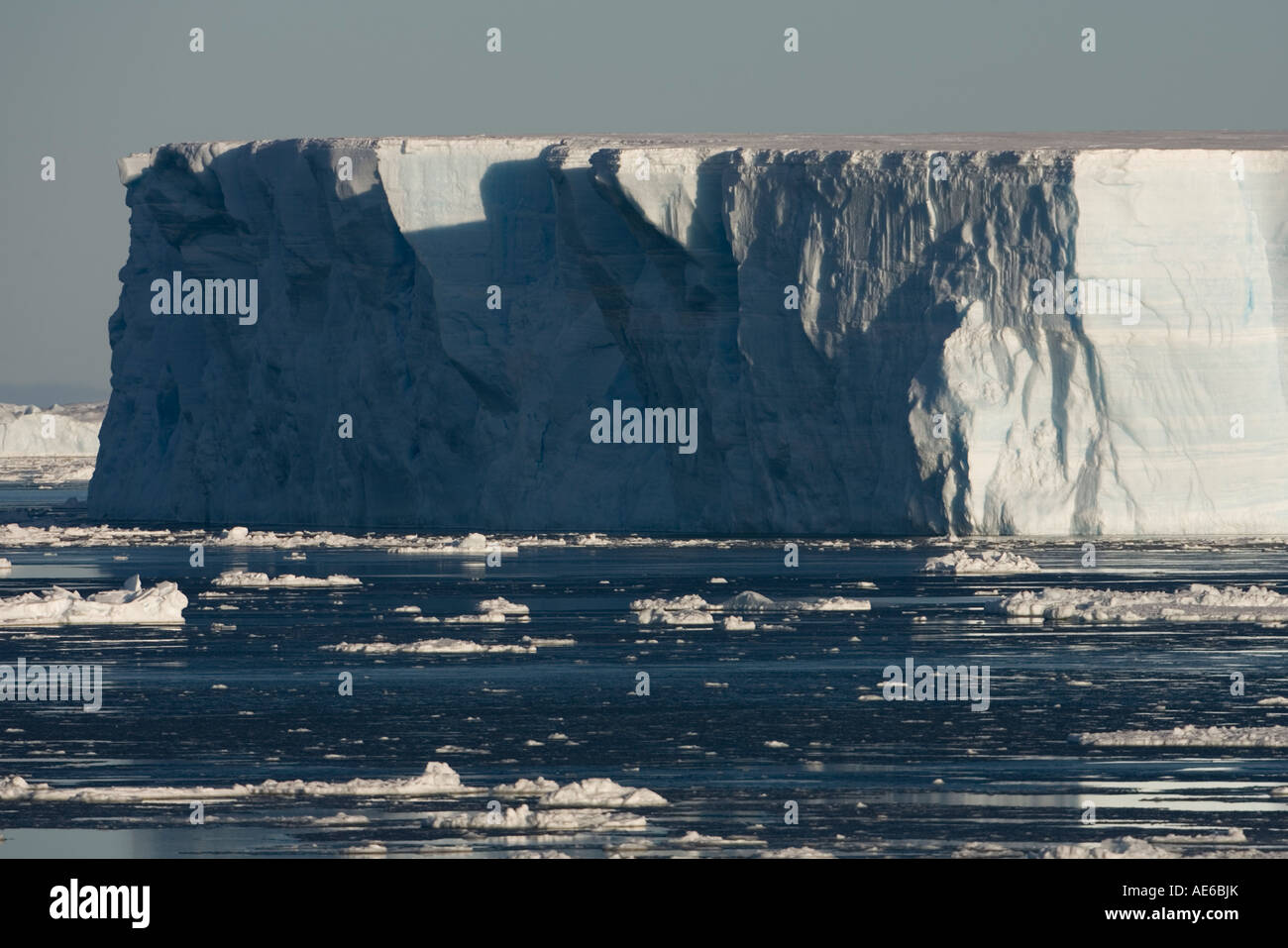 Antarctica Erebus and Terror Gulf Massive icebergs float in Weddell Sea on early summer morning Stock Photo