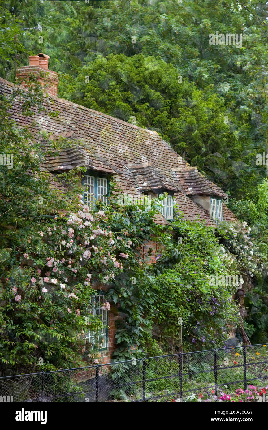 Hidden ghostly country cottage in a lush forest Stock Photo