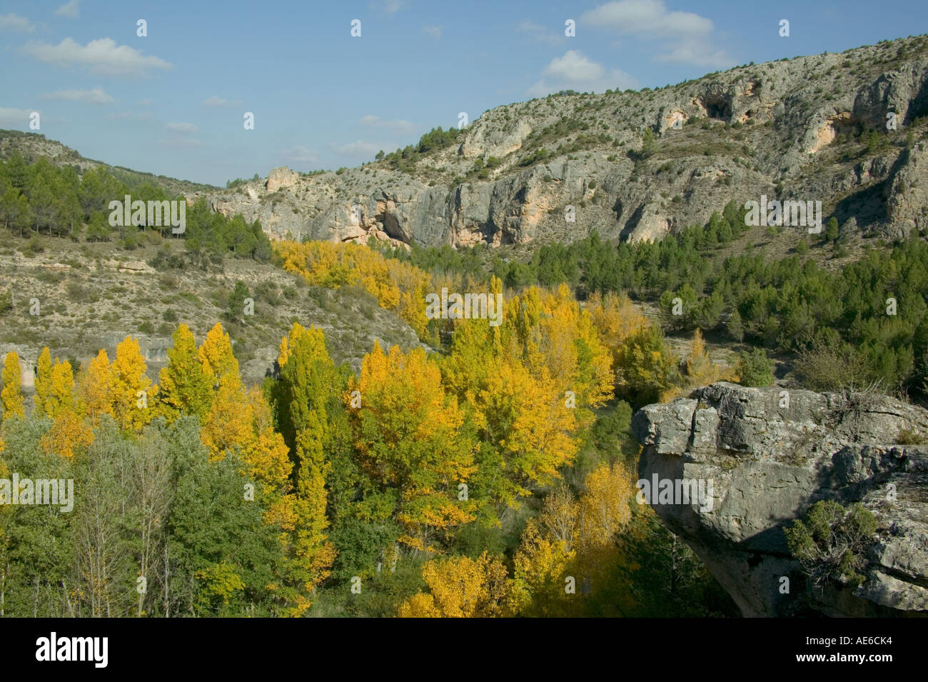 Autumnal leafed trees follow the Rio Jucar through a gorge away from ...