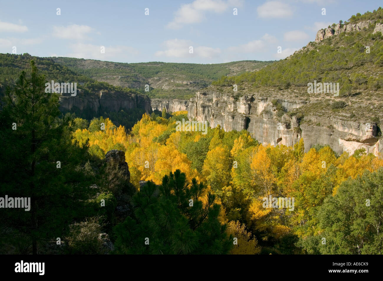 Autumnal leafed trees follow the Rio Jucar through a gorge away from ...