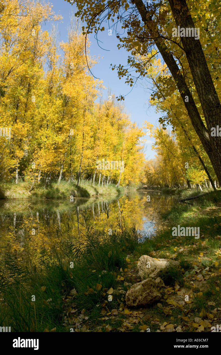Autumnal leafed trees follow the Rio Jucar through countryside away ...