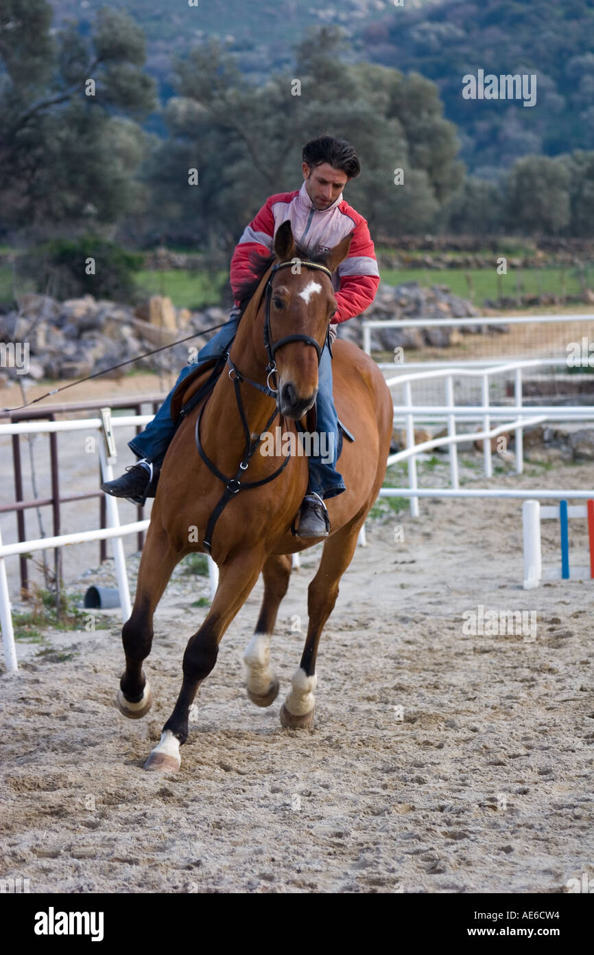 Man horseback riding at a horse riding school in Turkey Stock Photo