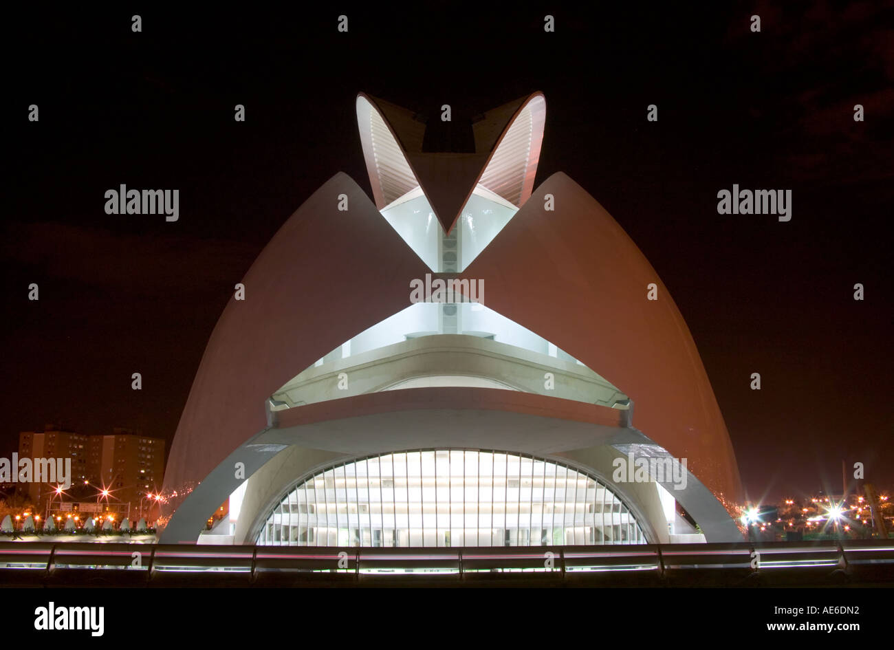 Palacio de las Artes at night, La Ciudad de las Artes y las Ciencias