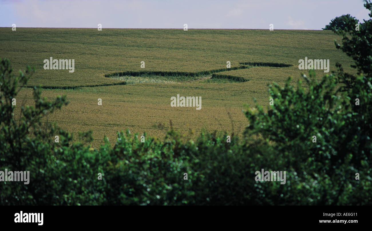 One of several shapes and circles which appeared in July 1997 in fields south of Hitcham North of Hadleigh Suffolk Stock Photo