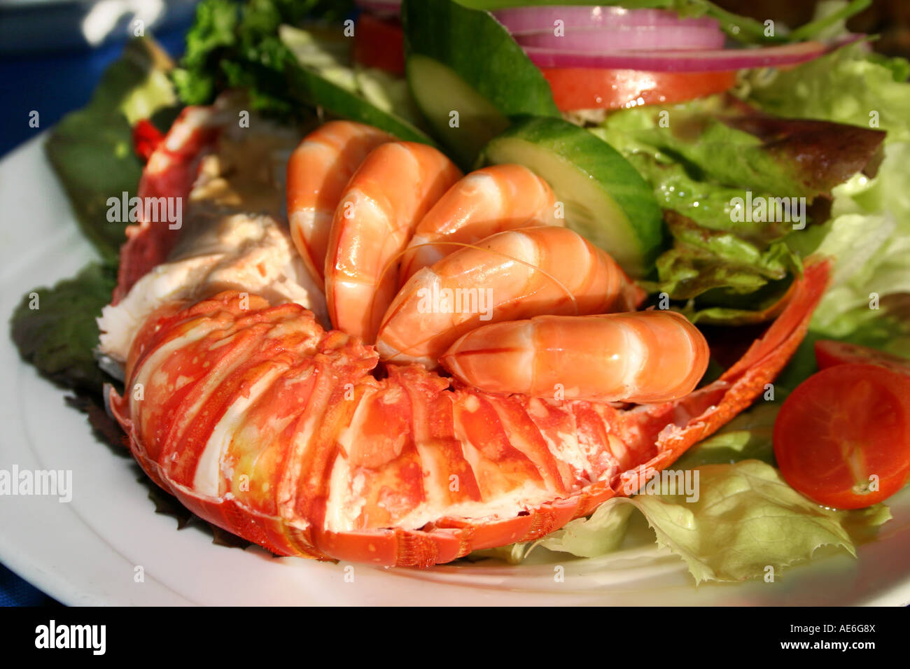 Australian Seafood Stock Photo Alamy