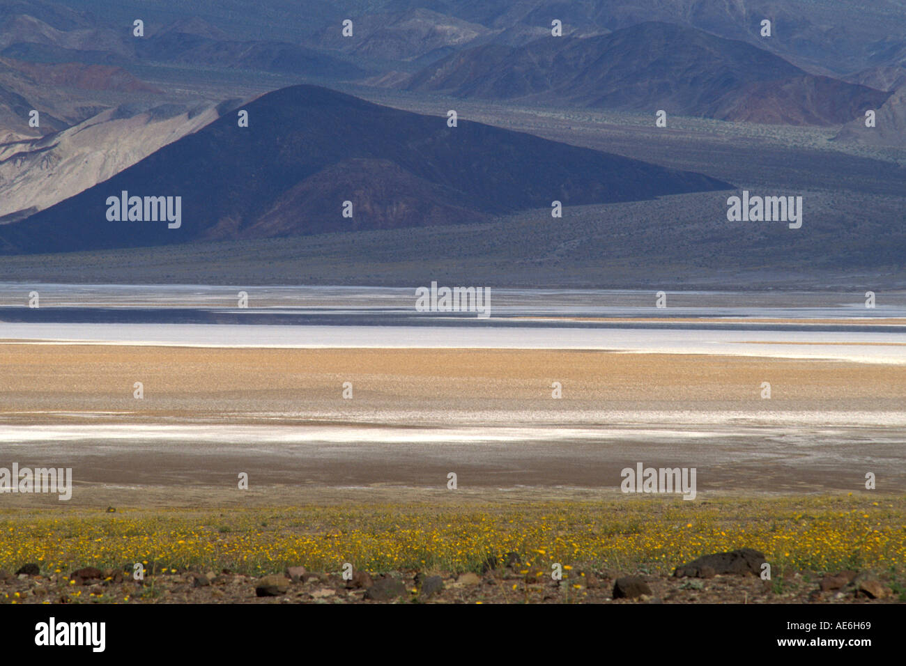 Alluvial Fan empties into salt pan basin playa in spring Death Valley National Park California Stock Photo