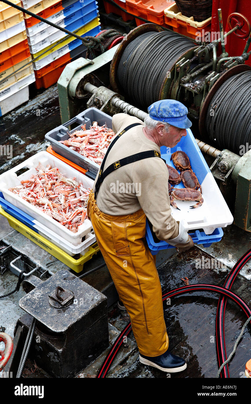 Fishermen returning from fishing, unloading fish, brittany, France. Stock Photo