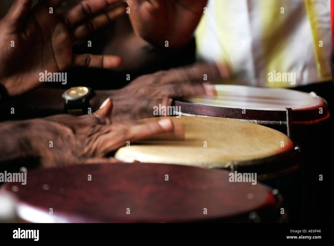 Percussionist's hands on drums Stock Photo