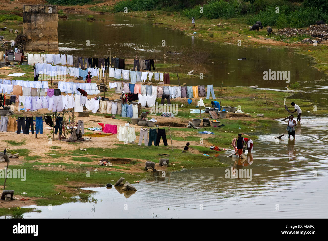 Clothes washed in Indian river and hanging out to dry Stock Photo