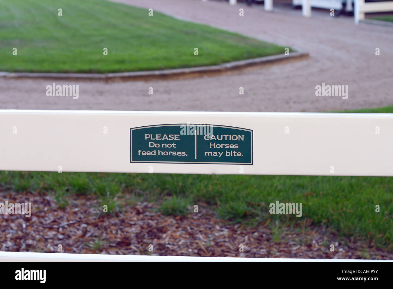 Safety First Display LTD Don't Feed Horses Any Food Sign - 1.2mm Rigid Plastic For Indoor/outdoor Usage (600mm X 400mm) Viewing Distance Within 20m
