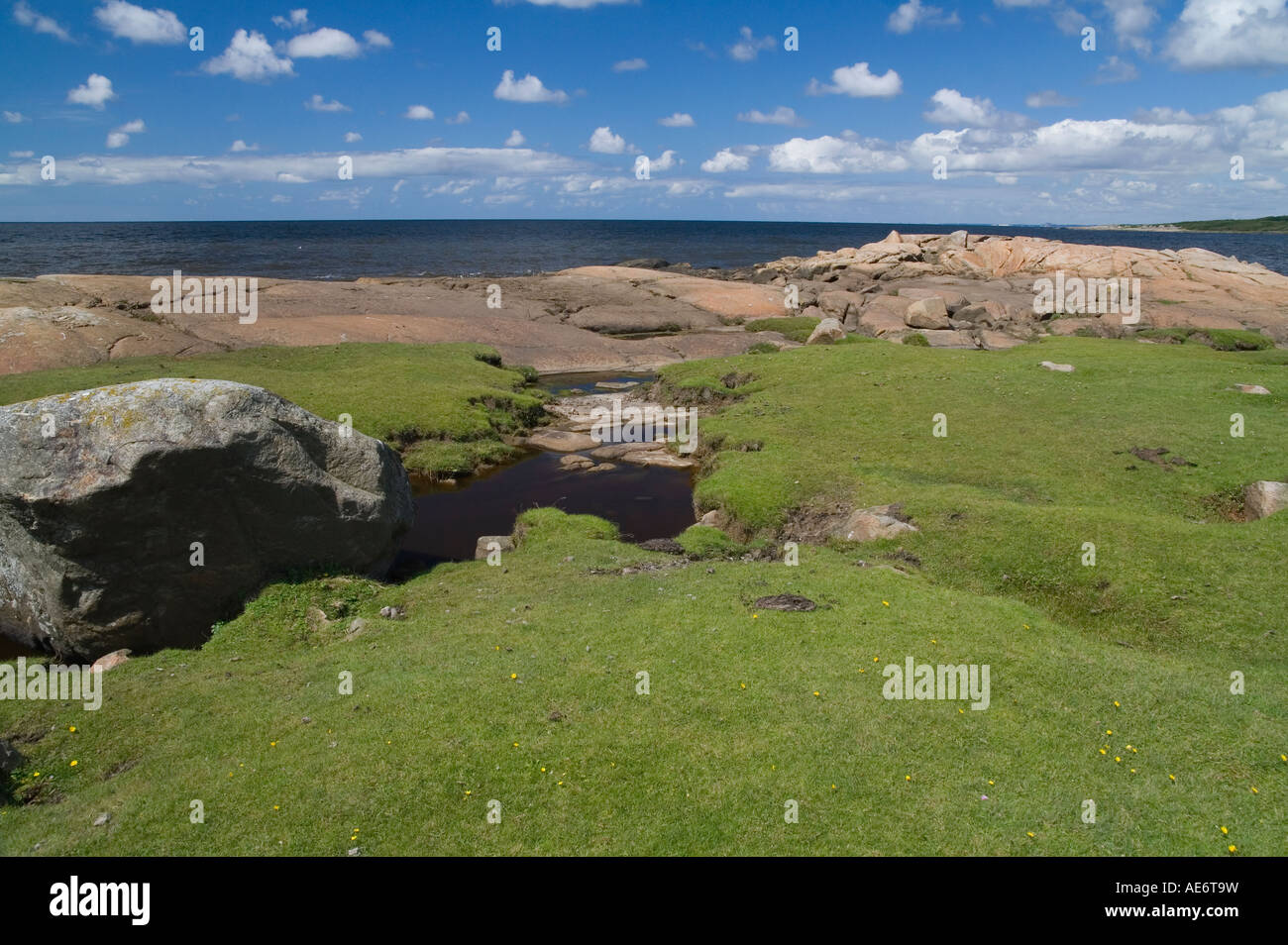 The beach meadow at Steninge Steninge near Halmstad Sweden Stock Photo