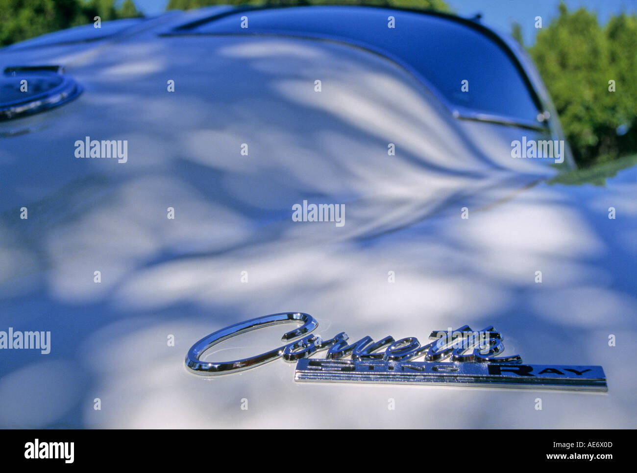 '^1963 Chevrolet Corvette 'Sting Ray' rear ^window and ^badge' Stock Photo