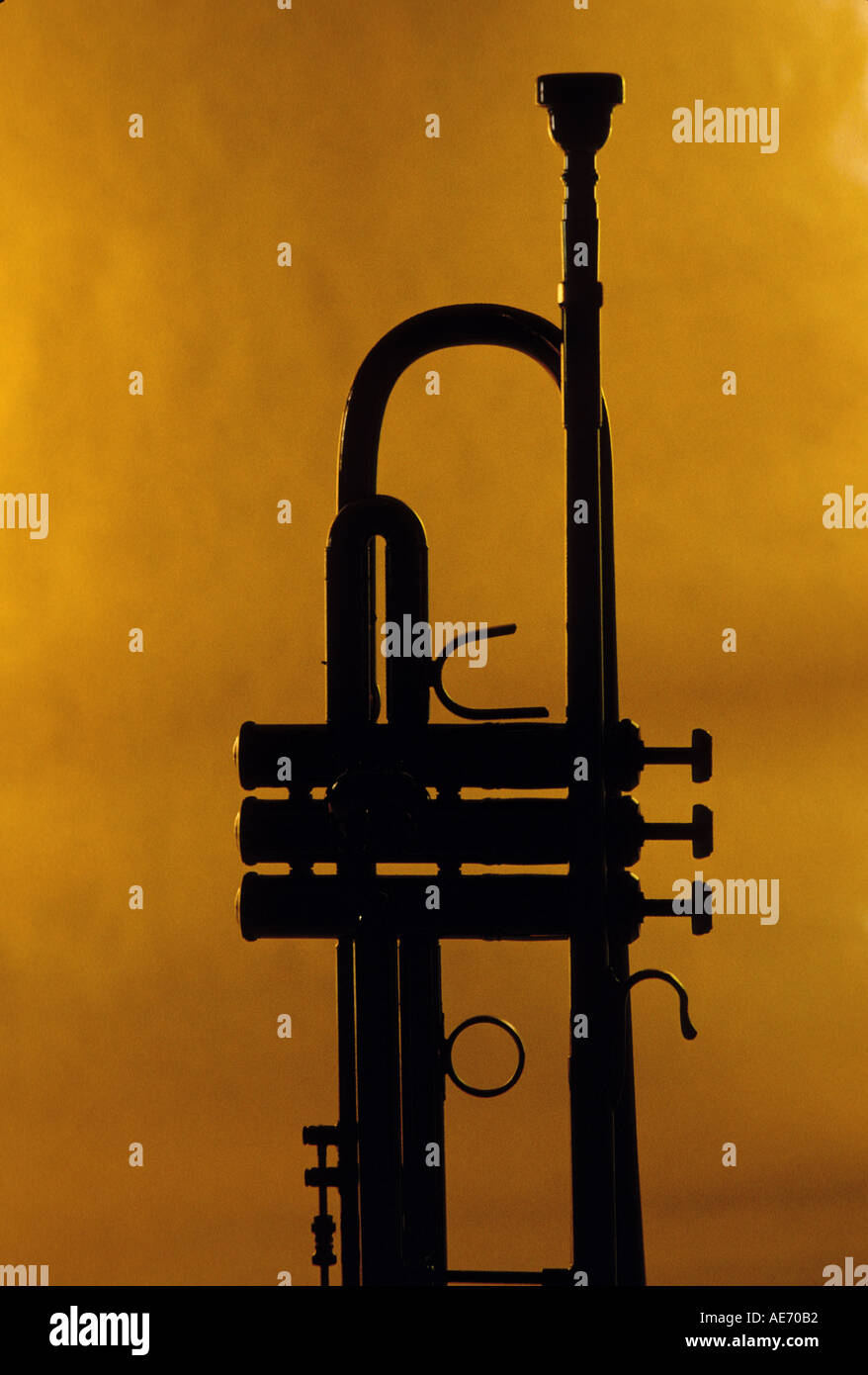 Trumpet silhouette Stock Photo