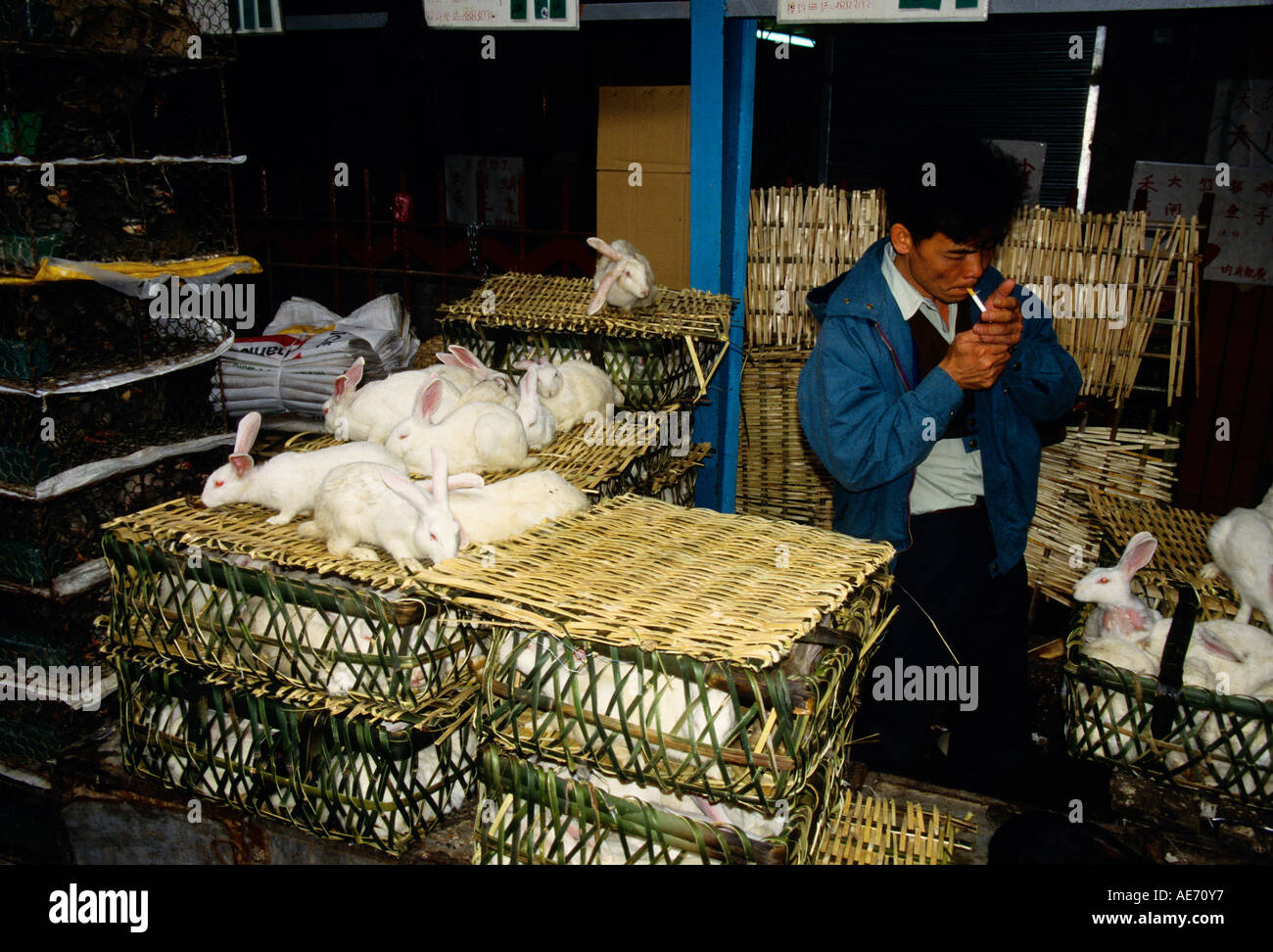 Chopped crocodile at a wet market in Guangzhou, China.