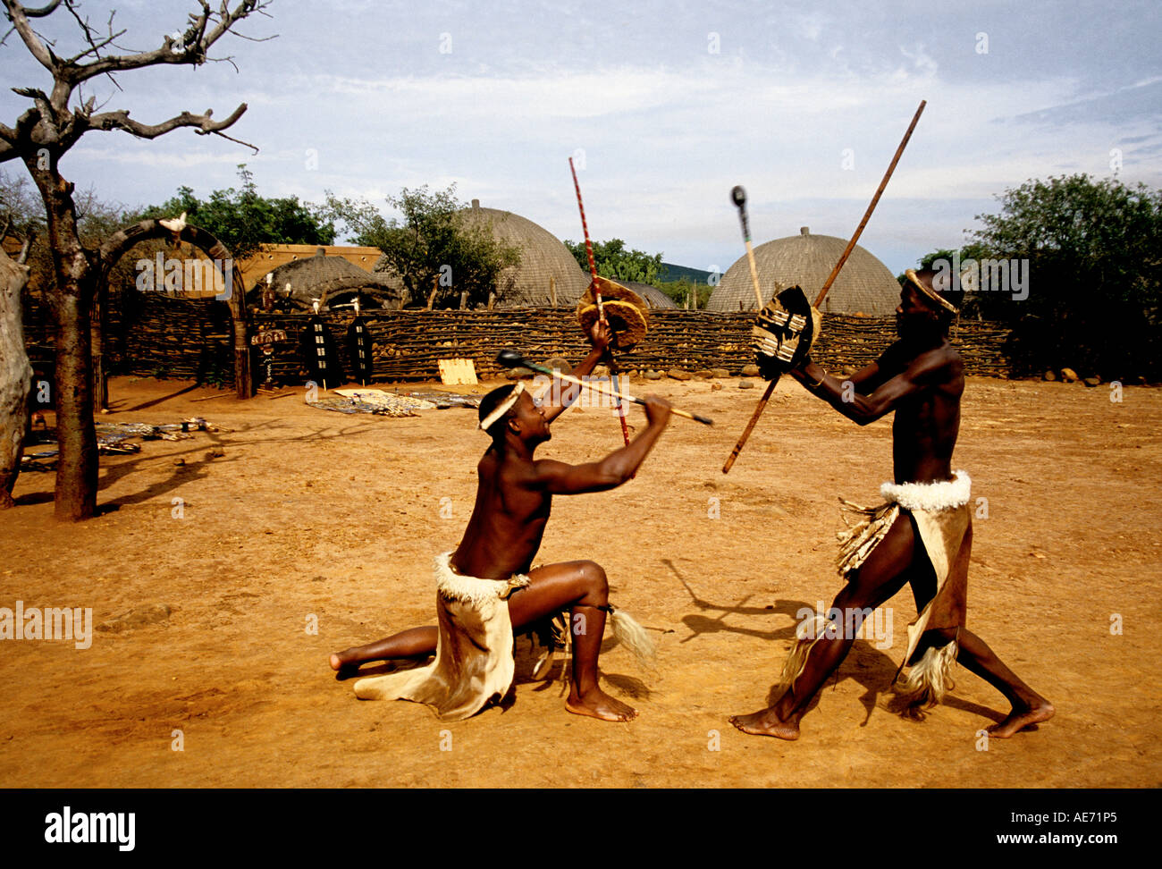 Zulu warriors stick-fighting, Shakaland, South Africa Stock Photo