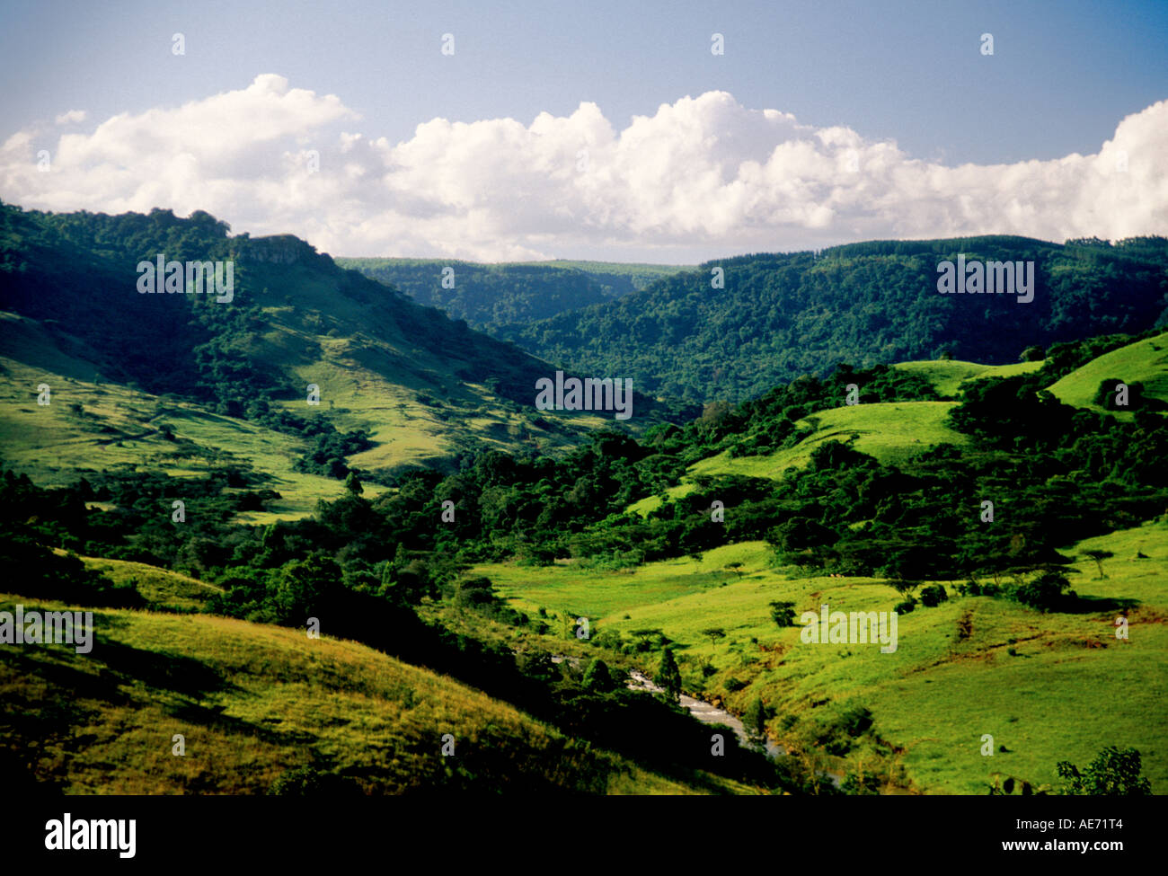 Lush Game Valley in KwaZulu Natal, South Africa Stock Photo - Alamy