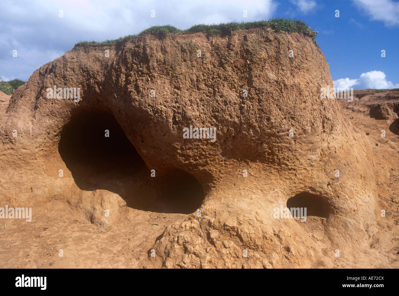 Sand Dune St Govans Head Pembrokeshire West Wales UK Stock Photo