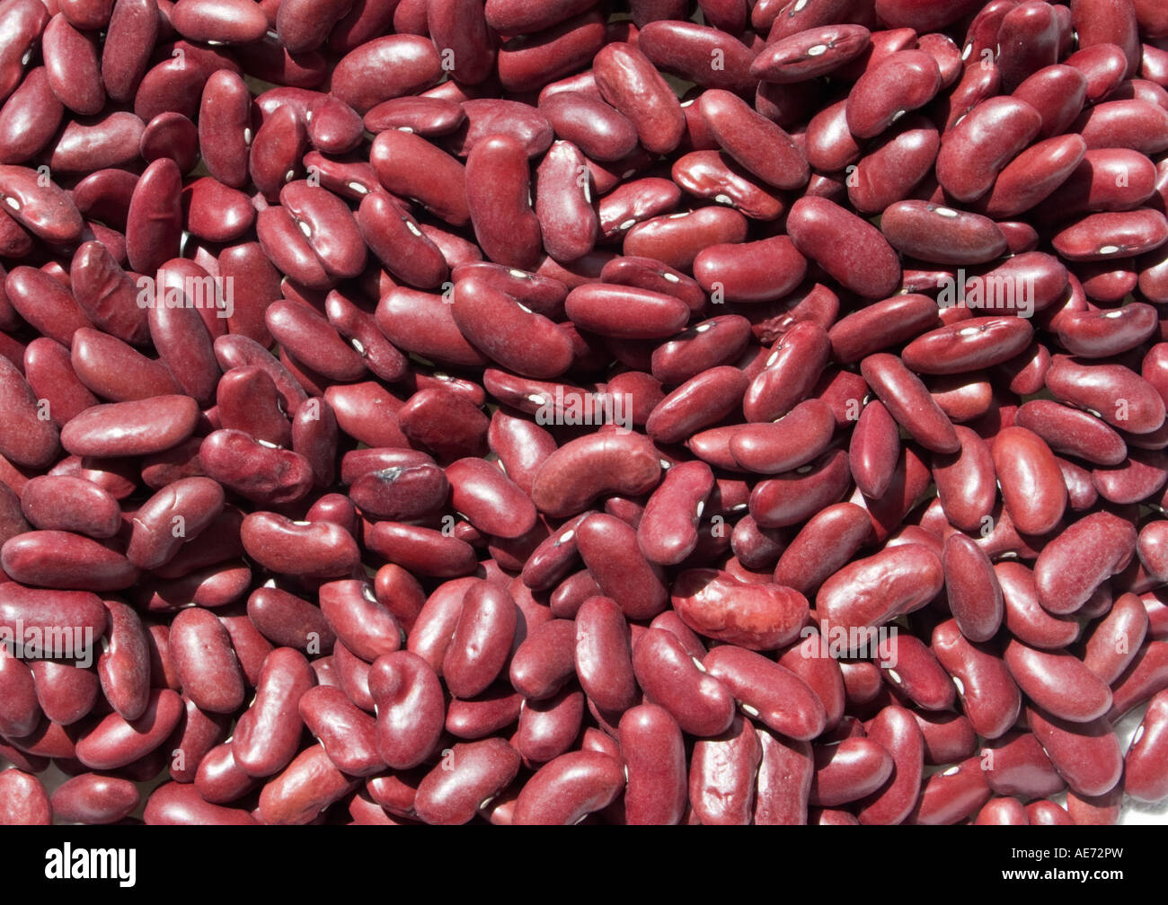 Close up of red Kidney Beans Stock Photo Alamy