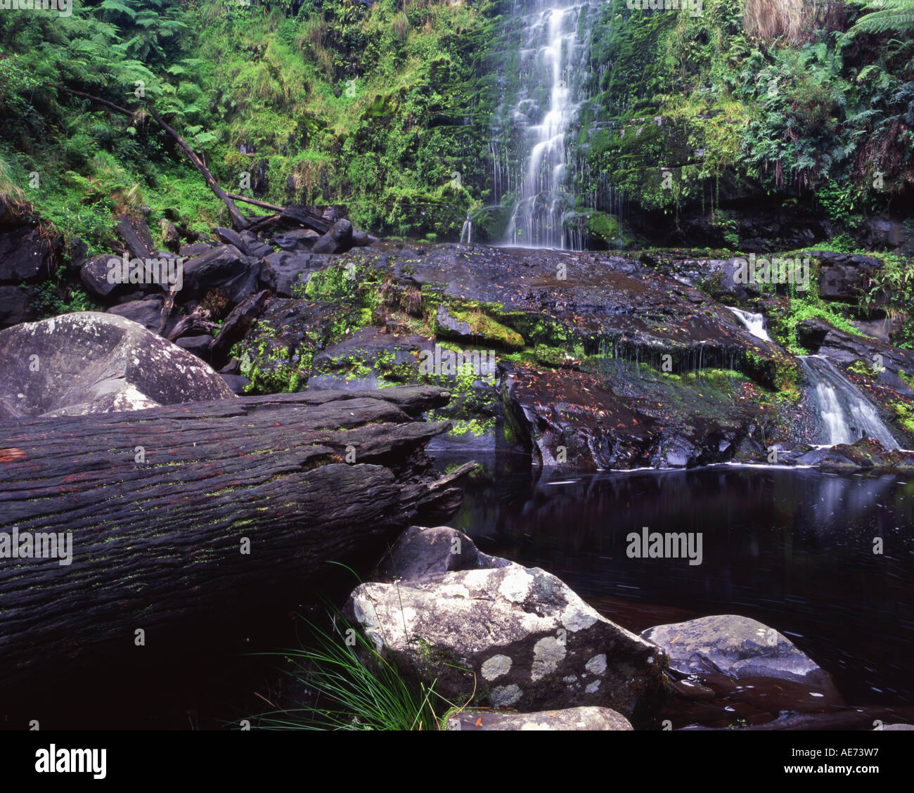 Erskine Falls Angahook Lorne State Park Victoria Australia Stock Photo