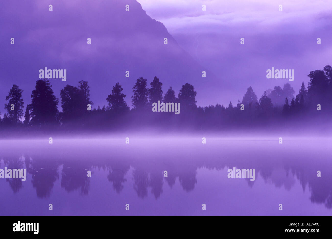 Lake Matheson Westland National Park South Island New Zealand Stock