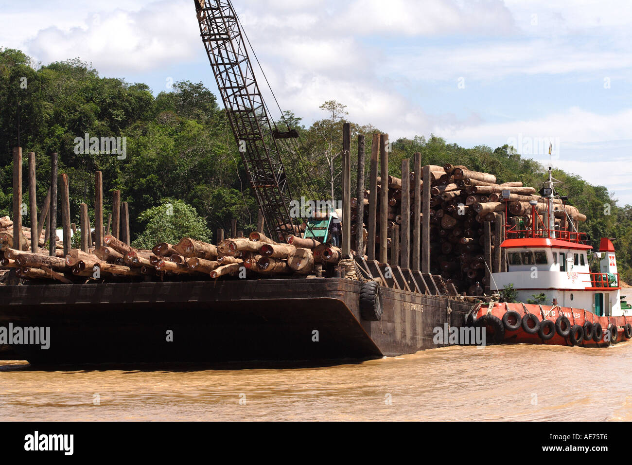 Miri Malaysia Market High Resolution Stock Photography and Images