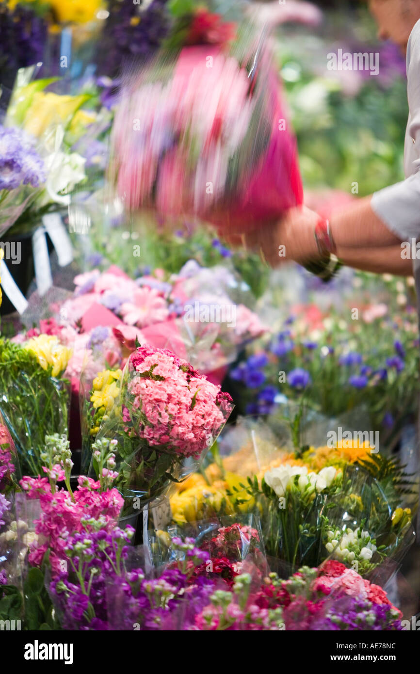 The Flower Market II Stock Photo Alamy