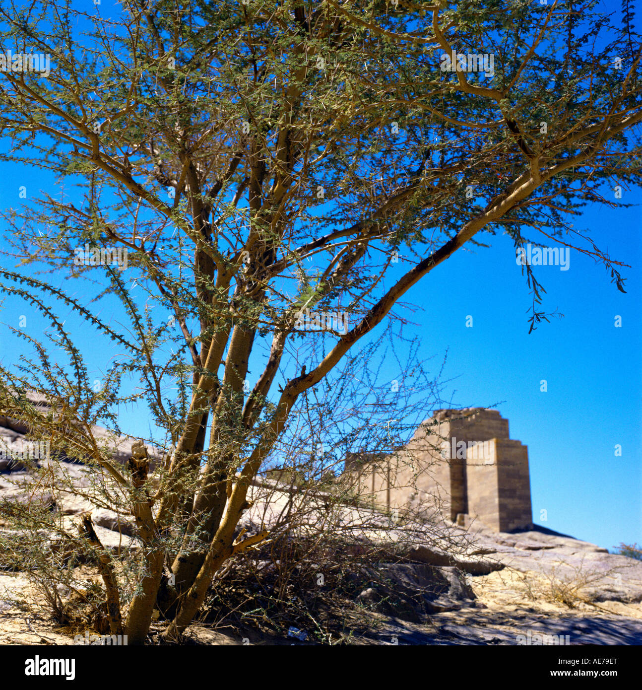 Marib Yemen - Saba South Sluice Of Dam Acacia Tree Sabean Ist Dam In The  World Recorded In Bible And Koran Stock Photo - Alamy