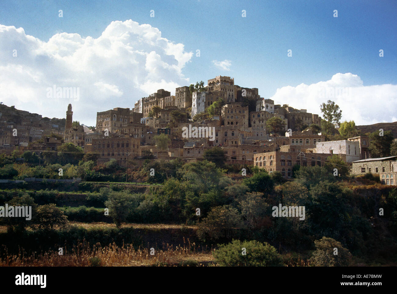 Terraced Fields & Fruit Trees Dibla Yemen Stock Photo - Alamy