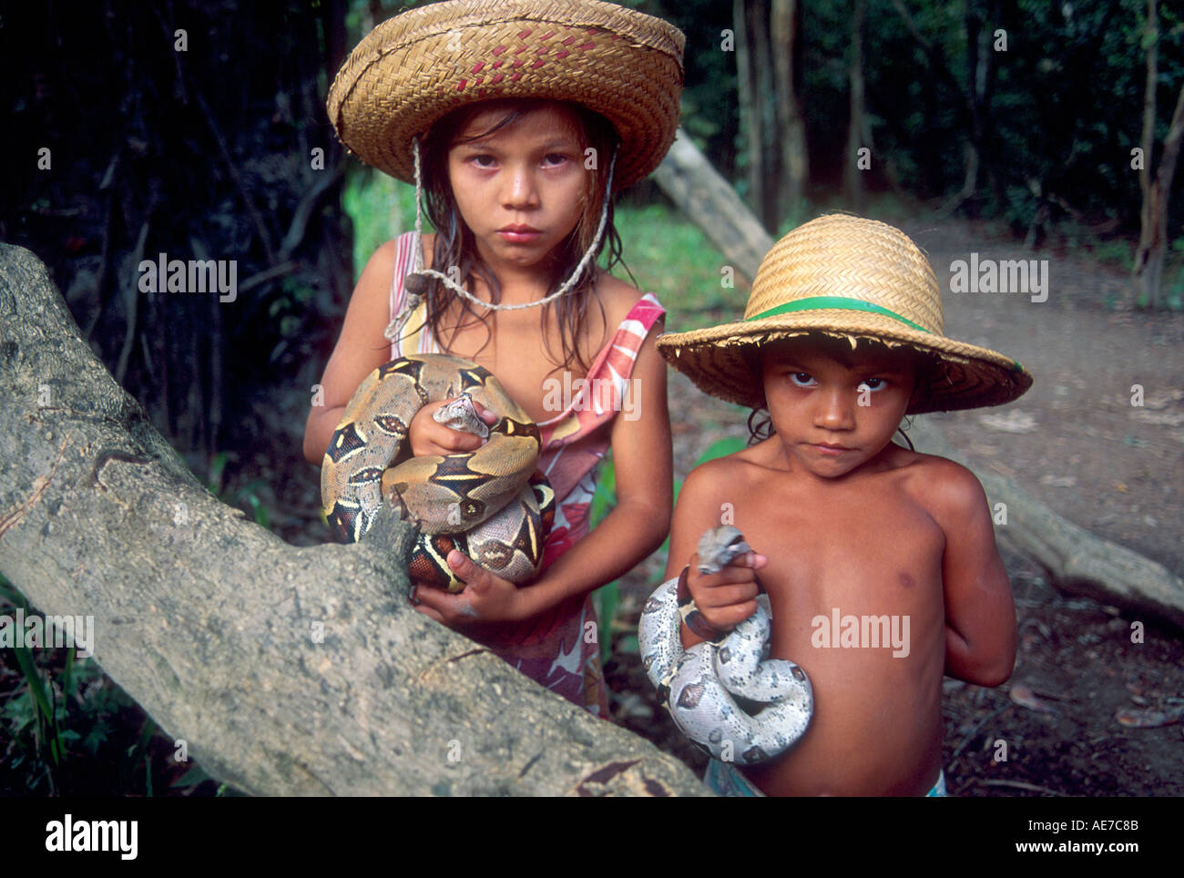 Amazon native children pose with snakes near Manaus Brazil Stock Photo -  Alamy