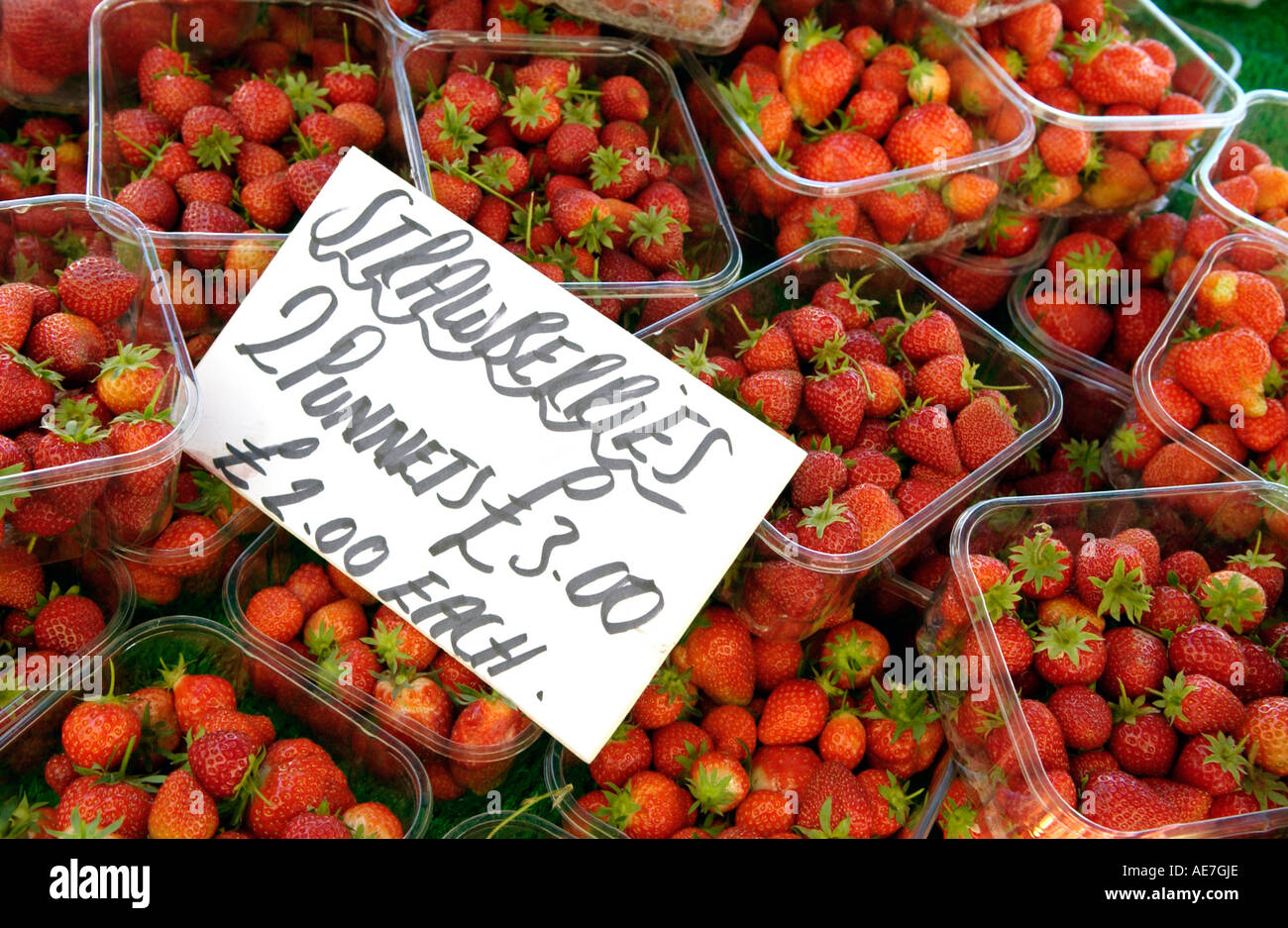 of strawberries for sale at Hay Festival Hay on Wye Powys Wales