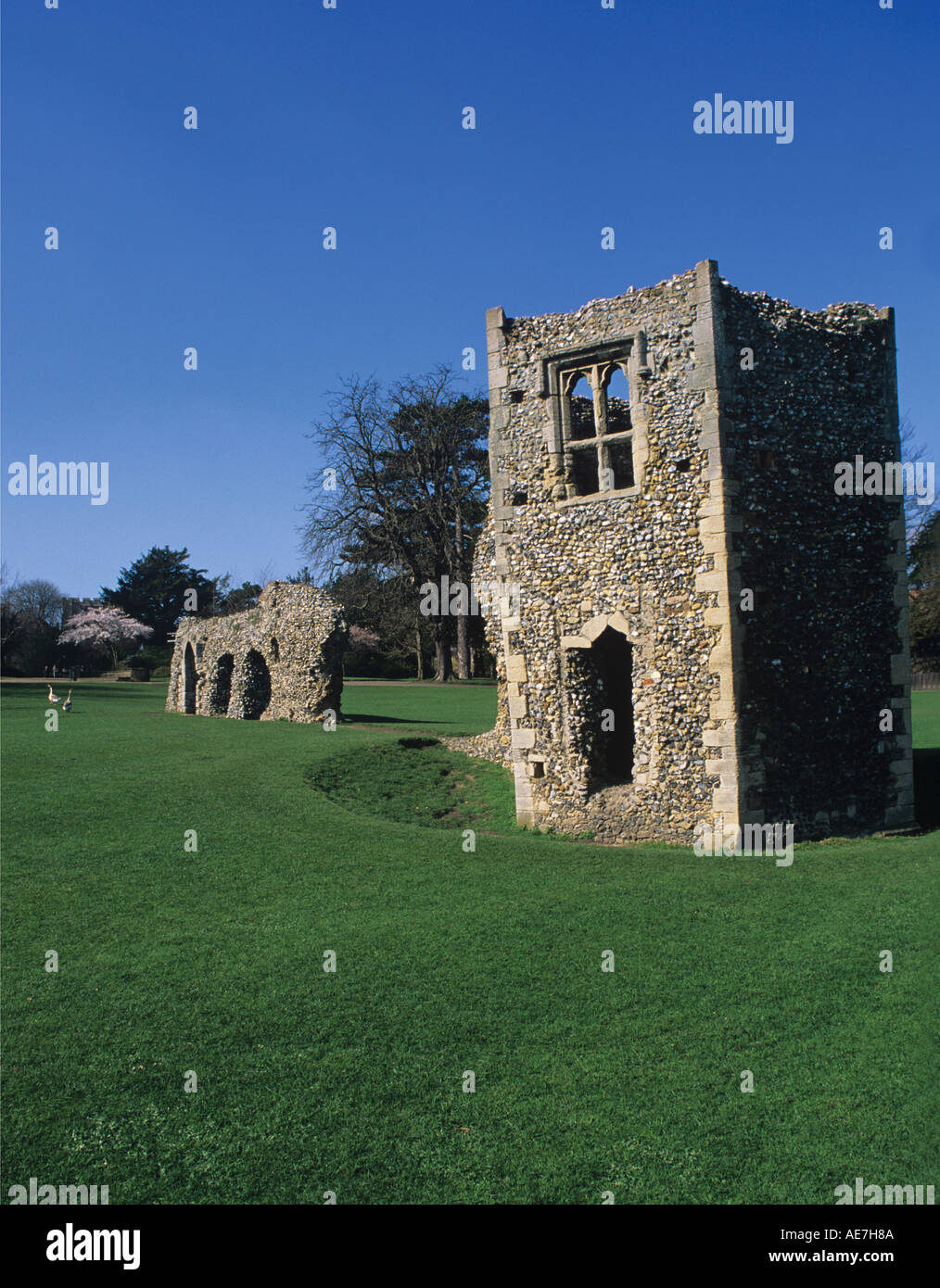 Leanng ruins of a Dovecote in the Abbot s Garden Abbey of St Edmund Bury St Edmunds Suffolk Stock Photo