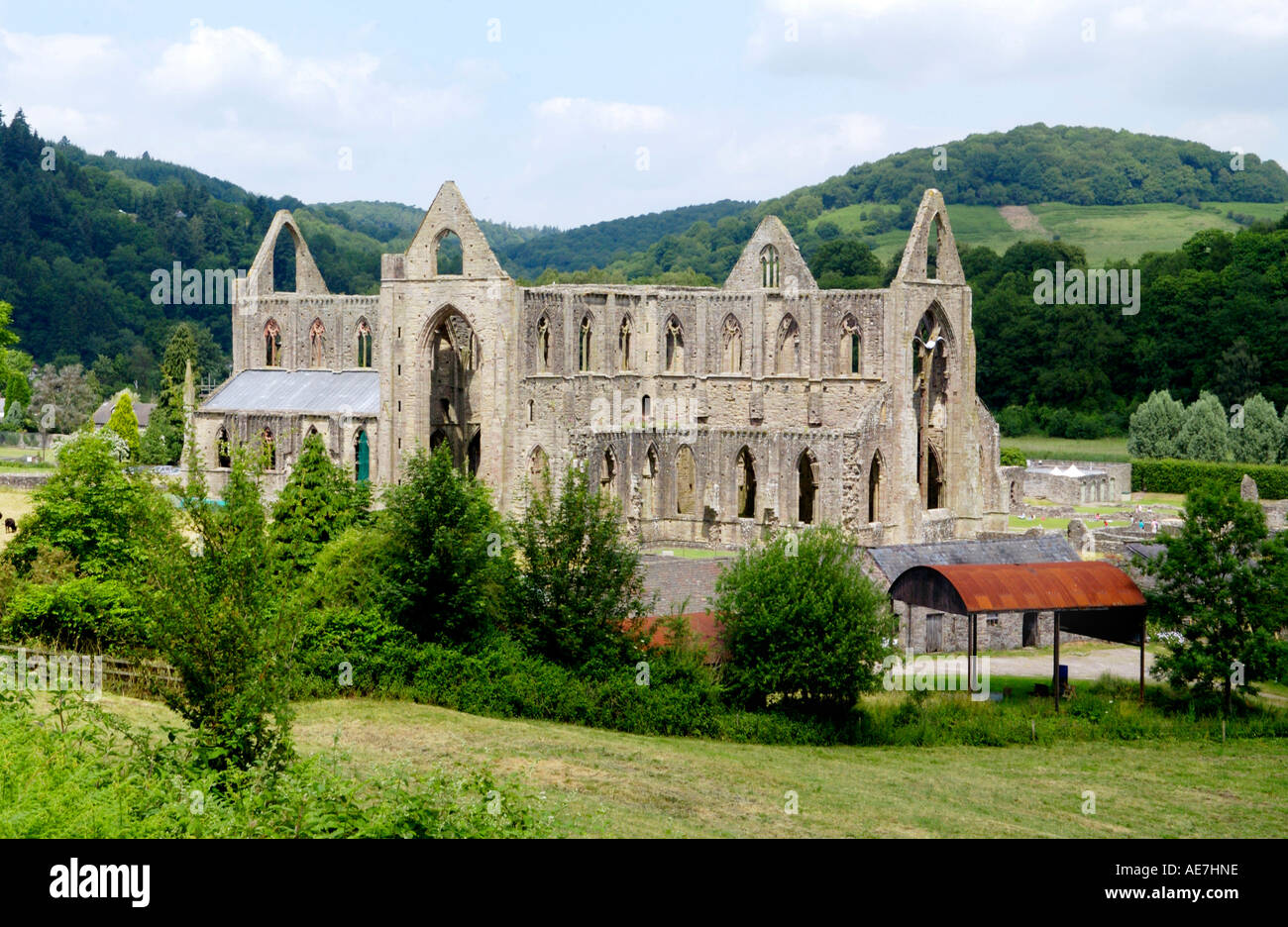 Tintern Established in 1131 by Cistercian monks Tintern Abbey is set in the ...