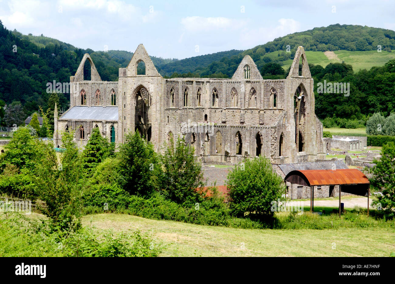 Tintern Established in 1131 by Cistercian monks Tintern Abbey is set in the ...
