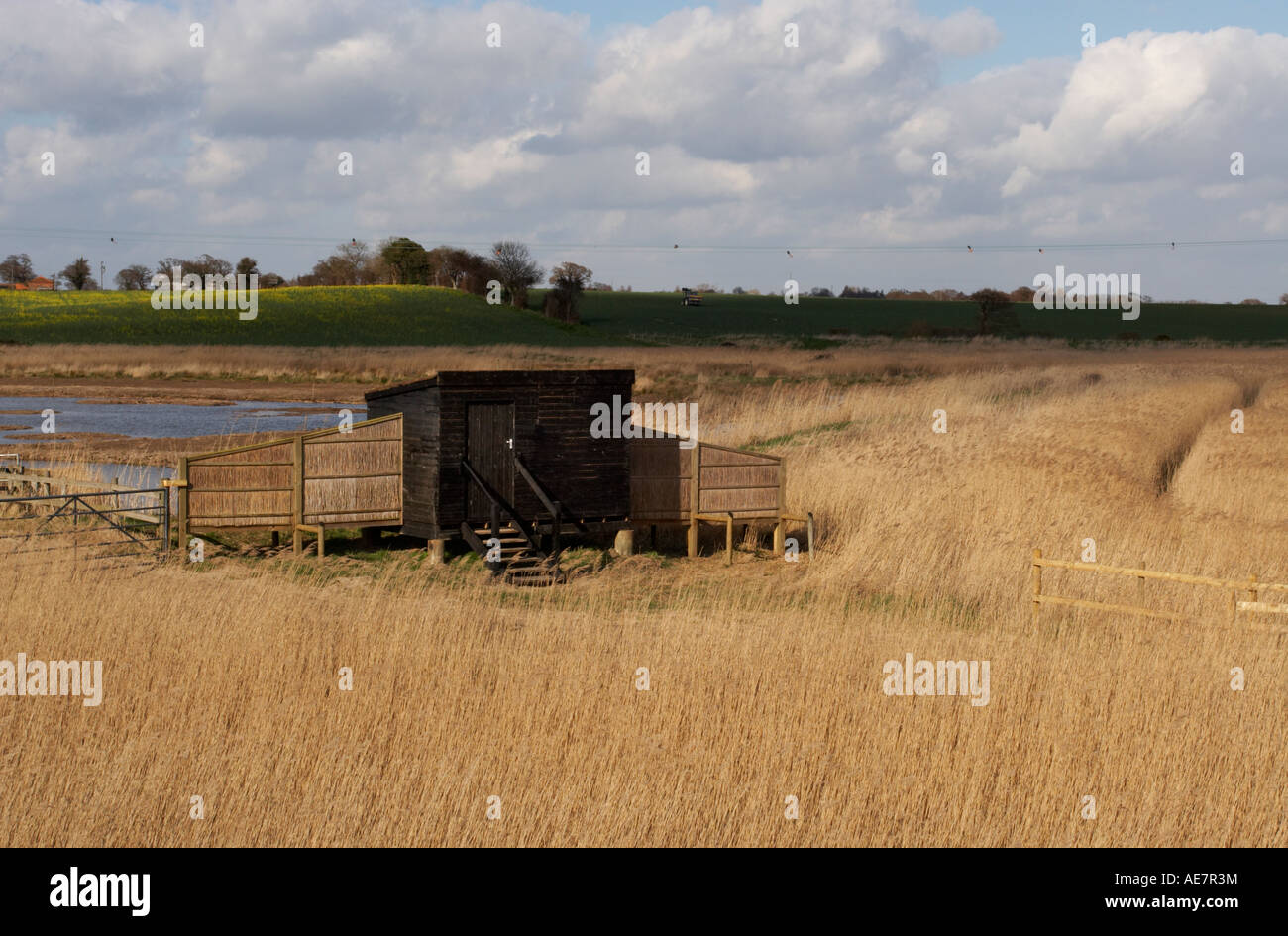 Reedbeds hires stock photography and images Alamy