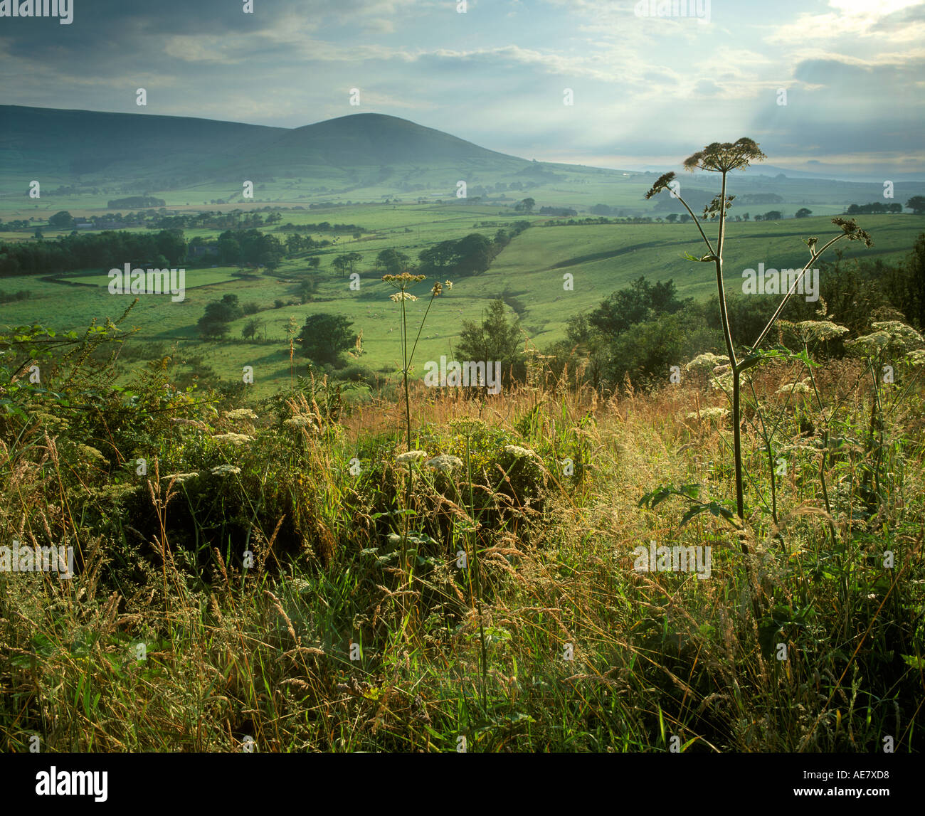 Beacon Fell Country Park Lancashire Stock Photo Alamy