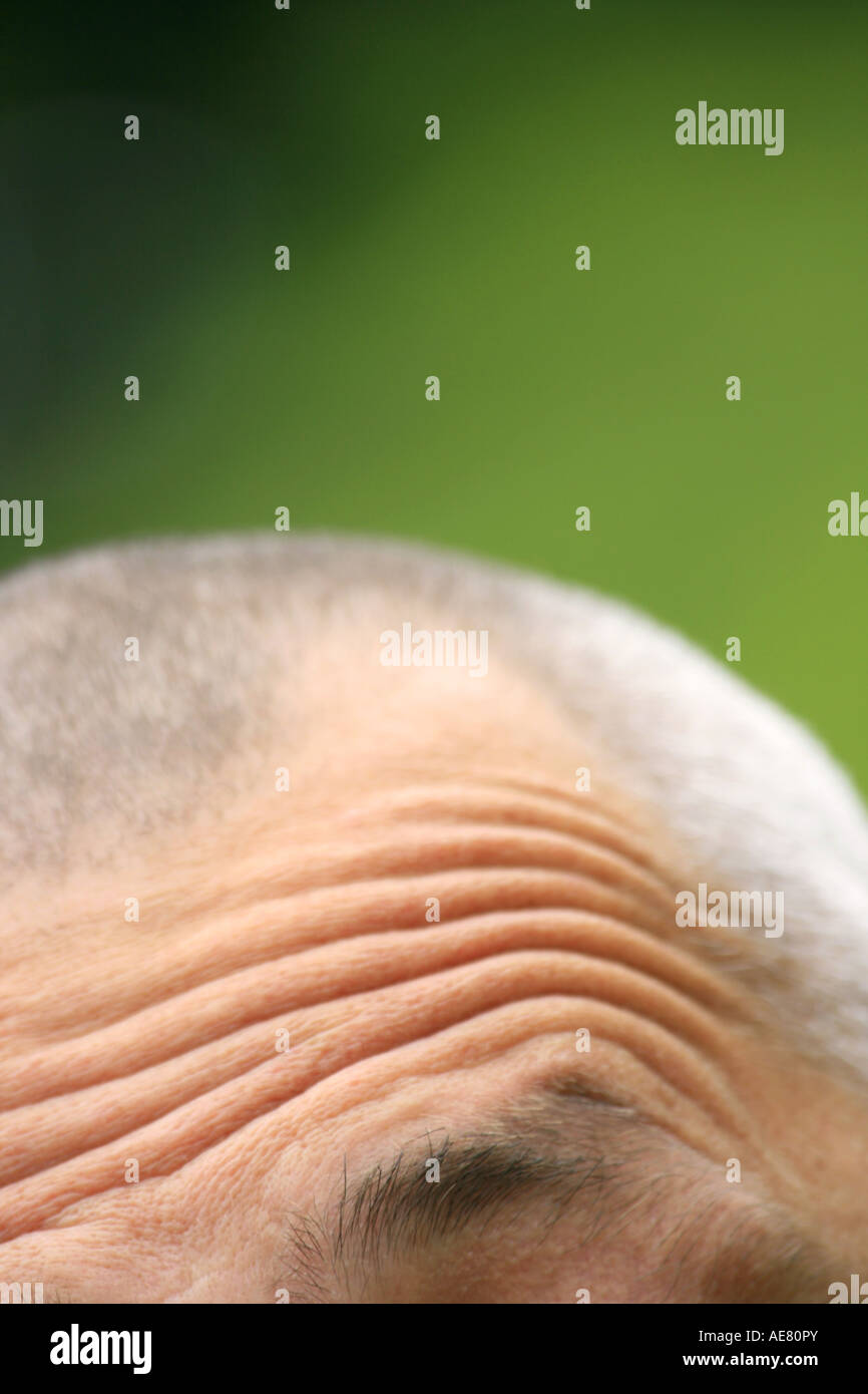 wrinkled brow Germany Stock Photo Alamy wrinkled brow Germany Stock Photo Alamy