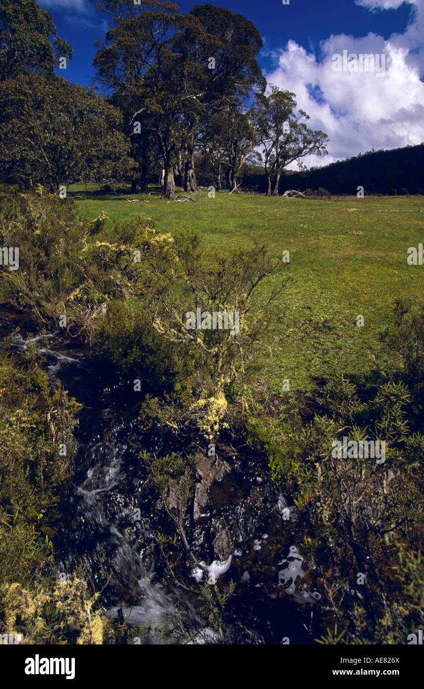 "Murray River" near source Australia Stock Photo Alamy