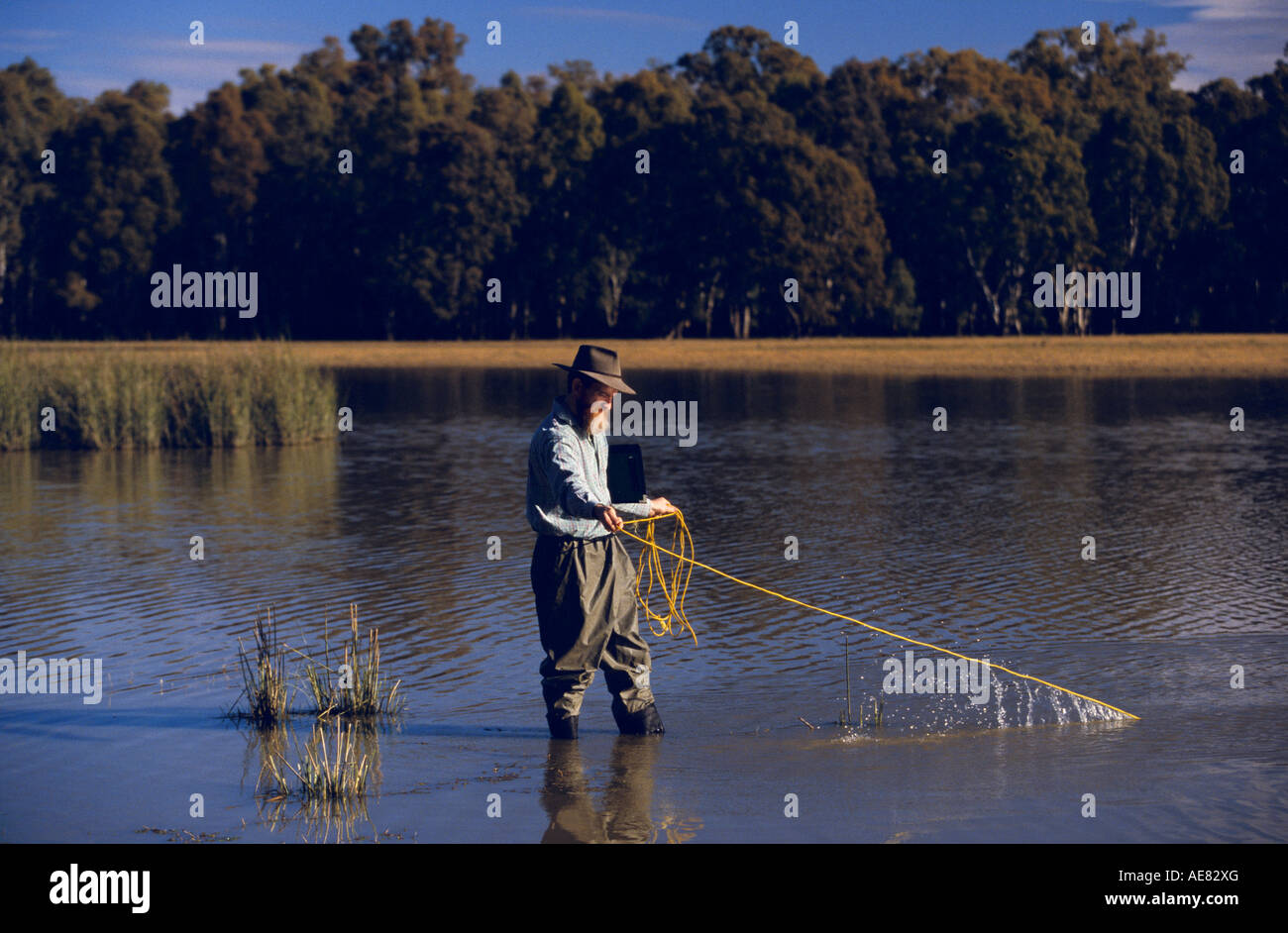 Wetlands ecologist Victoria, Australia, Stock Photo