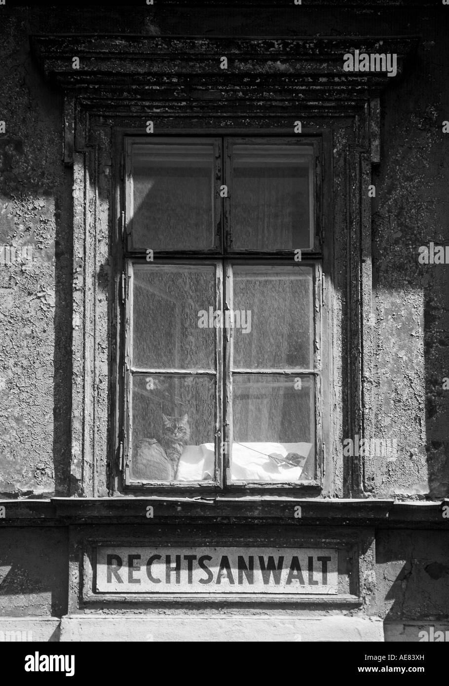A cat is looking from the window of an old house. Below the window is a sign placed that says 'Rechtsanwalt' (attorney). Stock Photo