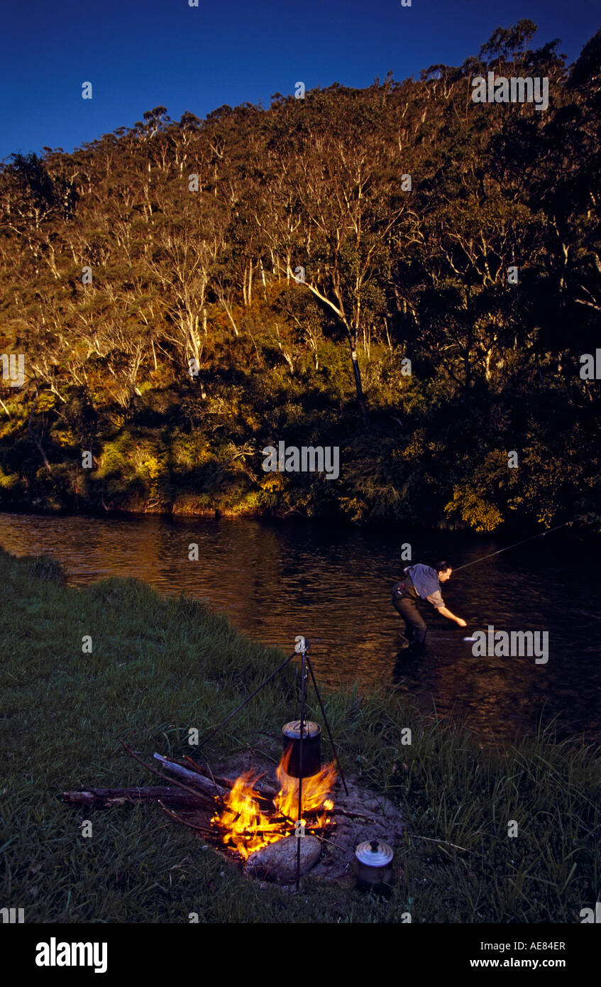 Fly fishing, Victoria, Australia, vertical Stock Photo - Alamy